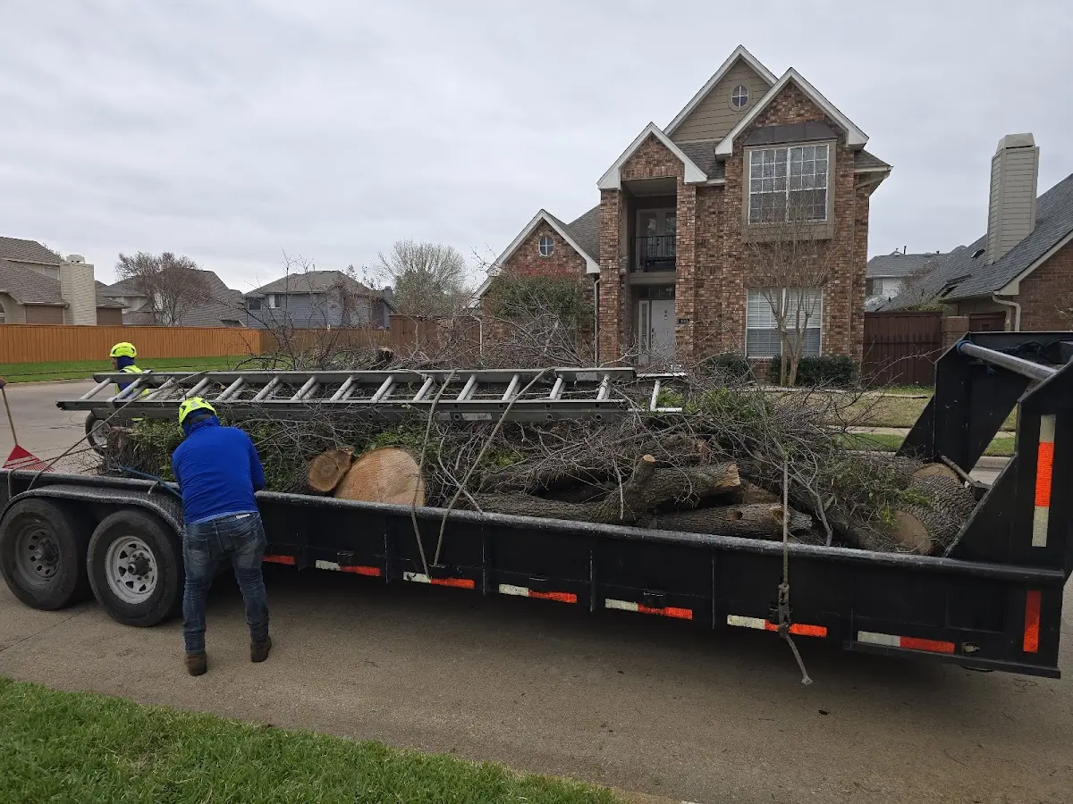 Expert Tree Pest Control with proper safety equipment in Fulton